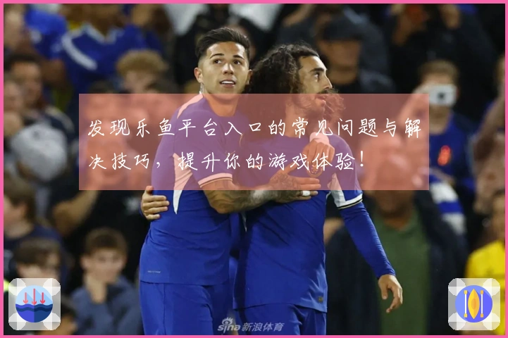 发现乐鱼平台入口的常见问题与解决技巧，提升你的游戏体验！