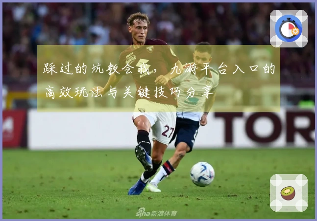 踩过的坑教会我，九游平台入口的高效玩法与关键技巧分享