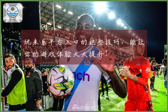 玩米乐平台入口的这些技巧，能让你的游戏体验大大提升！