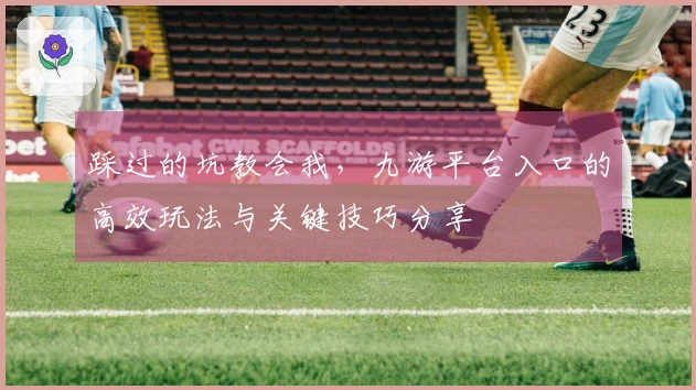 踩过的坑教会我，九游平台入口的高效玩法与关键技巧分享