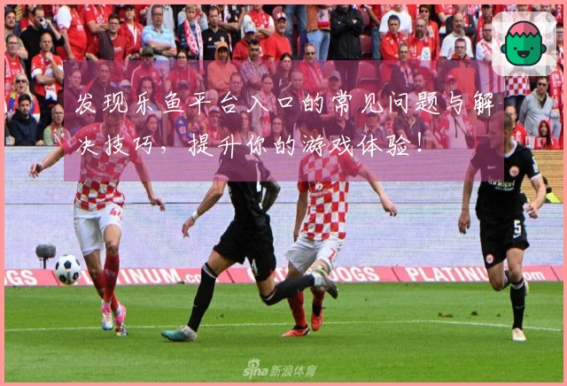 发现乐鱼平台入口的常见问题与解决技巧，提升你的游戏体验！